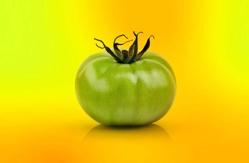 فروش گوجه فرنگی سبز نرسیده + قیمت خرید به صرفه